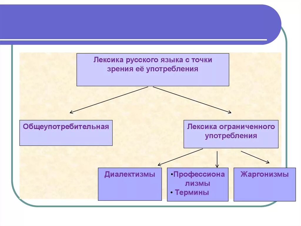 Лексика русского языка с точки зрения происхождения и употребления. Лексика русского языка с точки зрения сферы ее употребления. Русская лексика с точки зрения употребления. Лексика современного русского языка с точки зрения ее употребления.