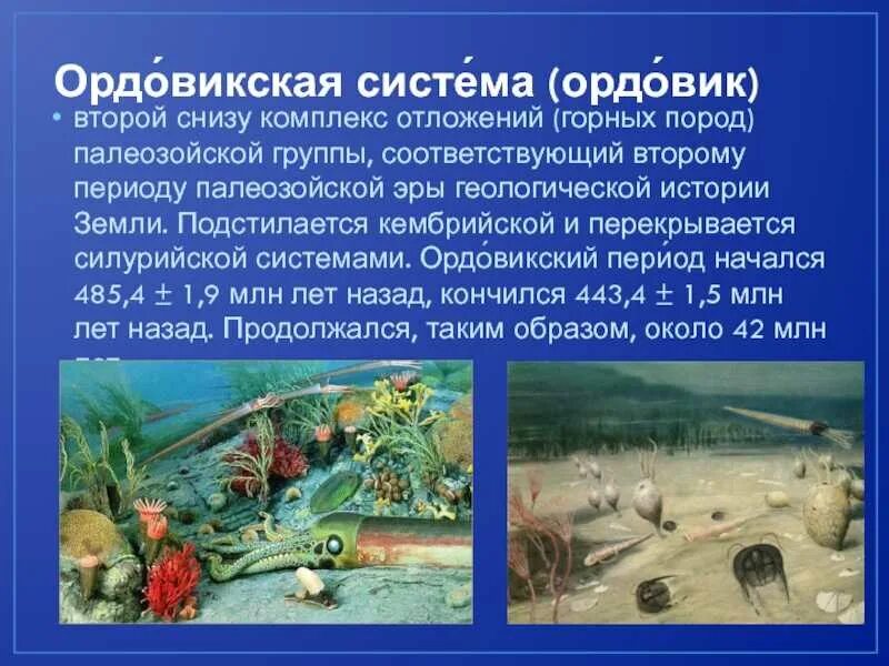 Палеозойская эра ордовикский период. Палеозойская эра ордовик климат. Палеозой ордовик растительный мир. Палеозойская эра периоды кембрий, ордовик, силур. Ордовикский период – ордовик.