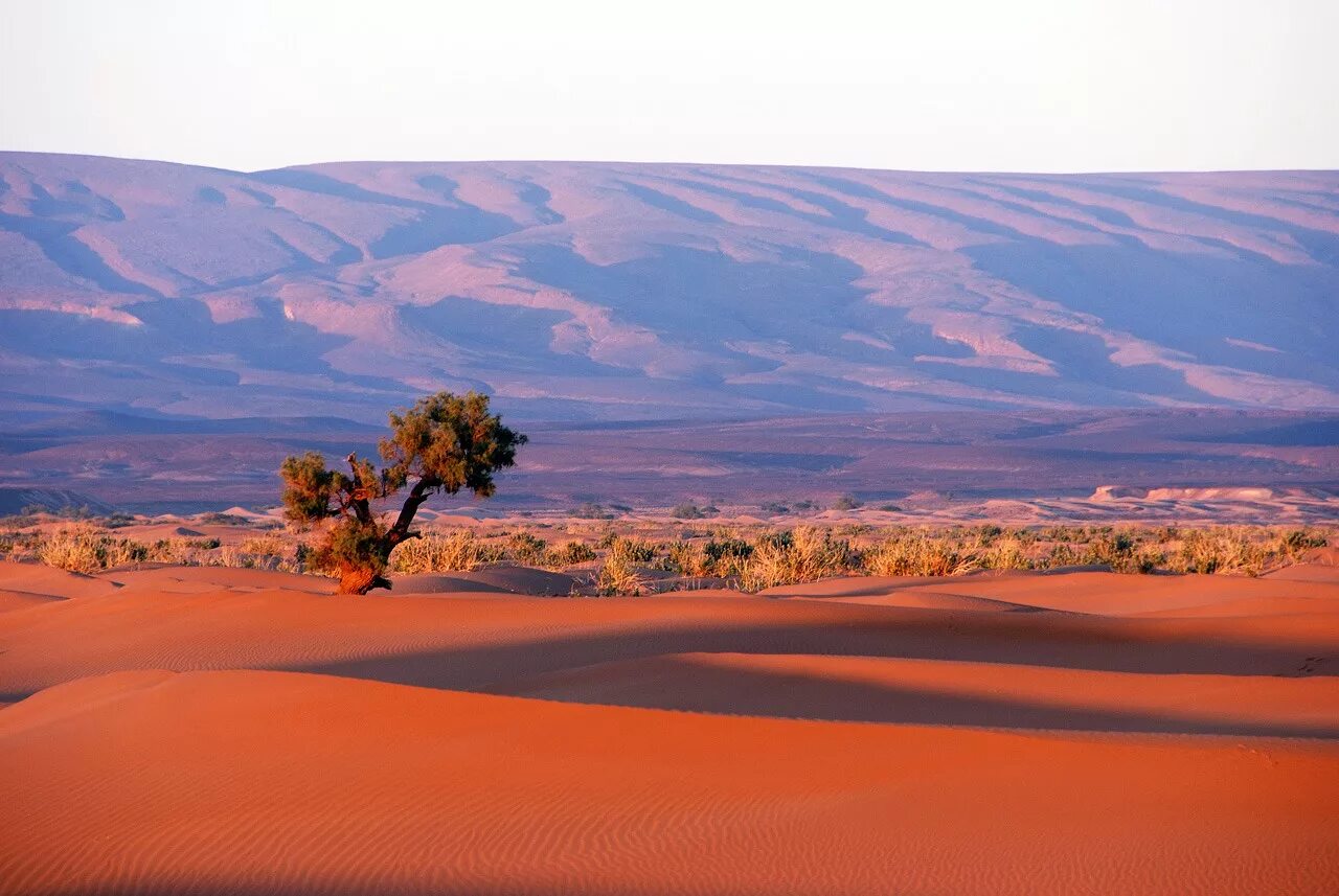 Наибольшая пустыня в мире. Африка сахара. Африка пустыня сахара. Полупустыни Африки. Марокко полупустыни.
