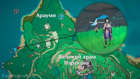 Побережье надзути геншин