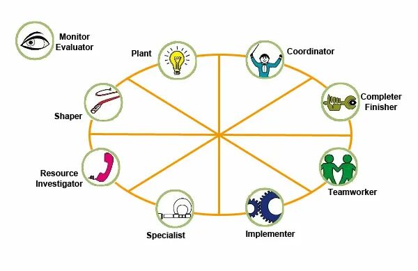 Белбин роли. Мередит Белбин роли. Belbin Team roles. Командные роли по Белбину схема. Team roles