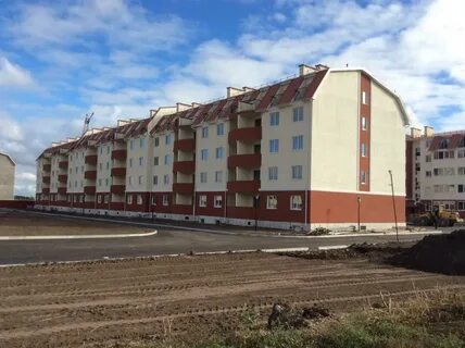 Альбатрос тольятти