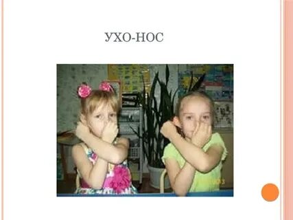Ухо нос