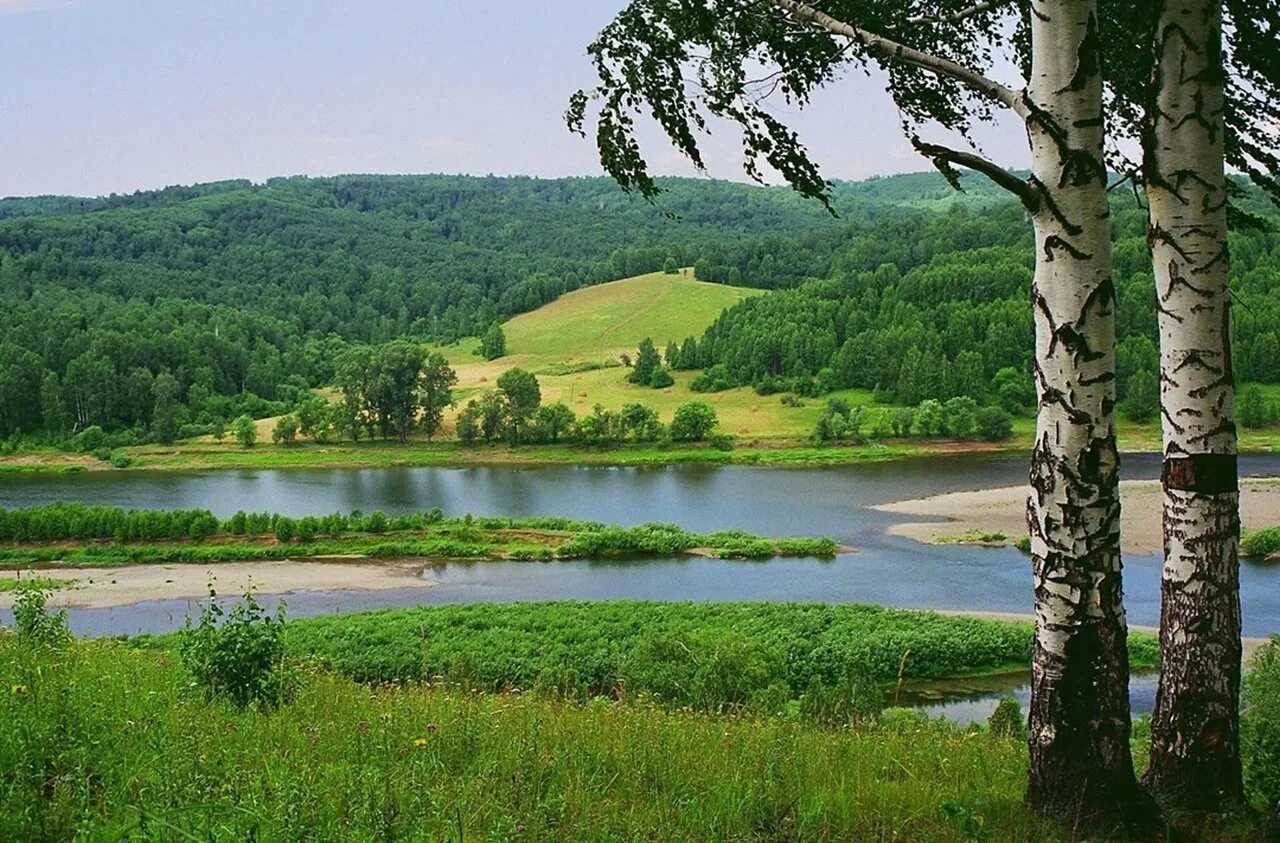 Родина картинки. Родина природа. Природа родного края. Природа нашей Родины. Россия - моя Родина.