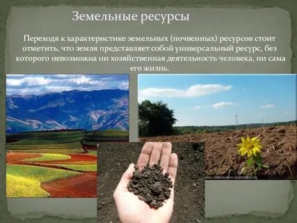 Краткая характеристика земельных природных ресурсов