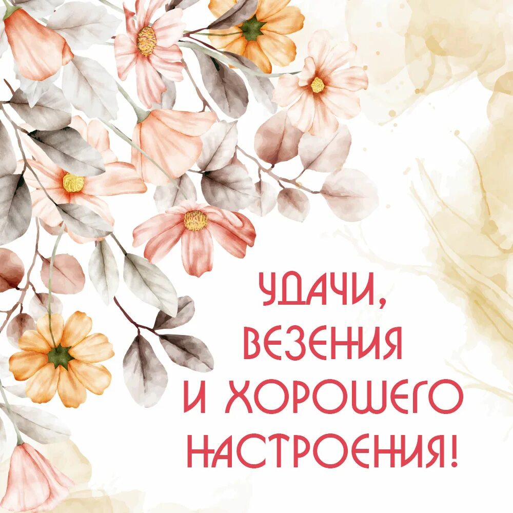 Прекрасного дня и удачи во всем. Хорошего настроения на весь день. пожелания с добрым утром с цветами и красивыми словами. красивую открытку хорошего удачного дня. открытки хорошего дня хорошего настроения хорошего рабочего дня.