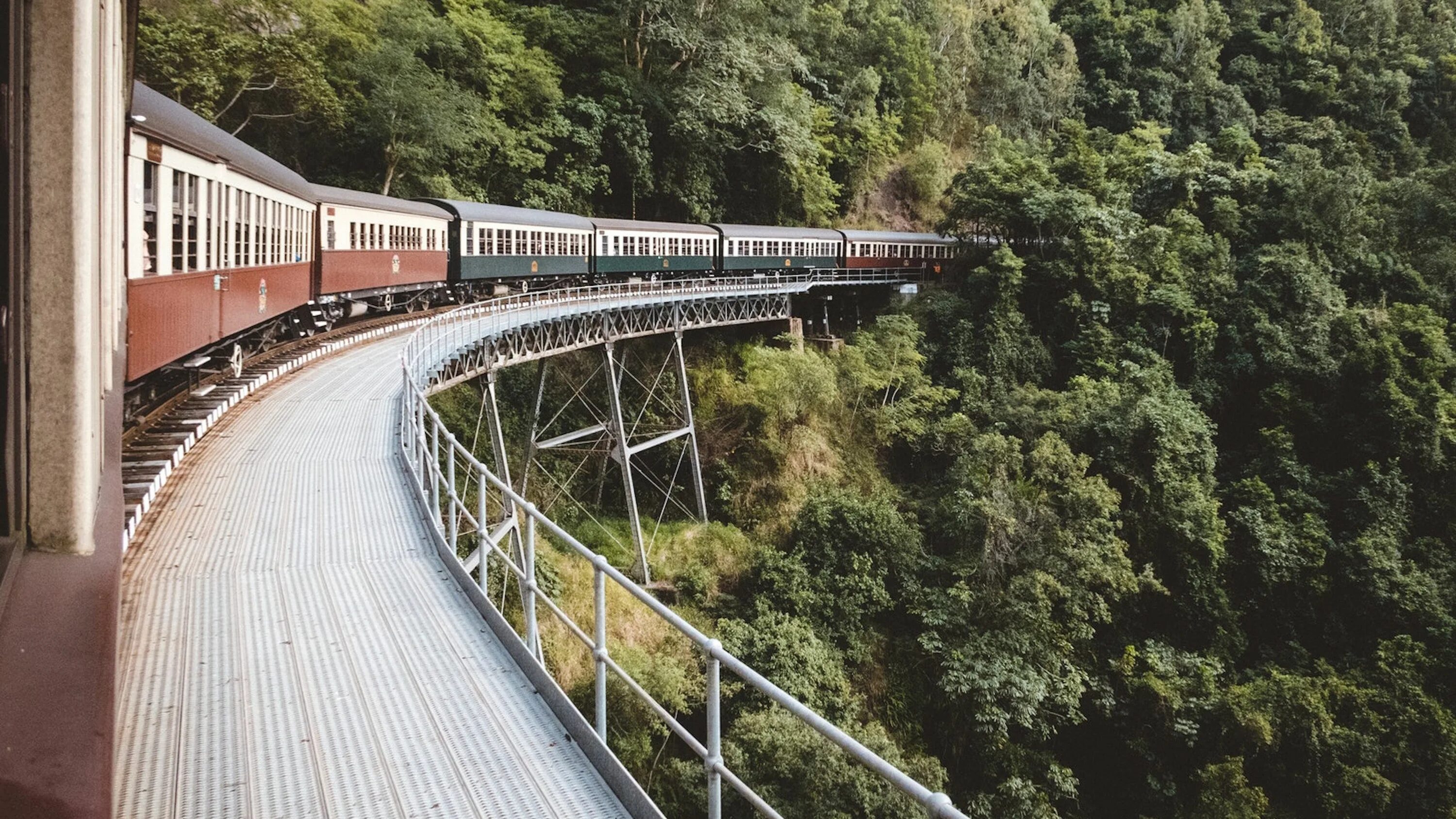 Ойта, Япония лес поезд. Поезд красота. Поезд красота цветение. A Train Journey. Long train journey