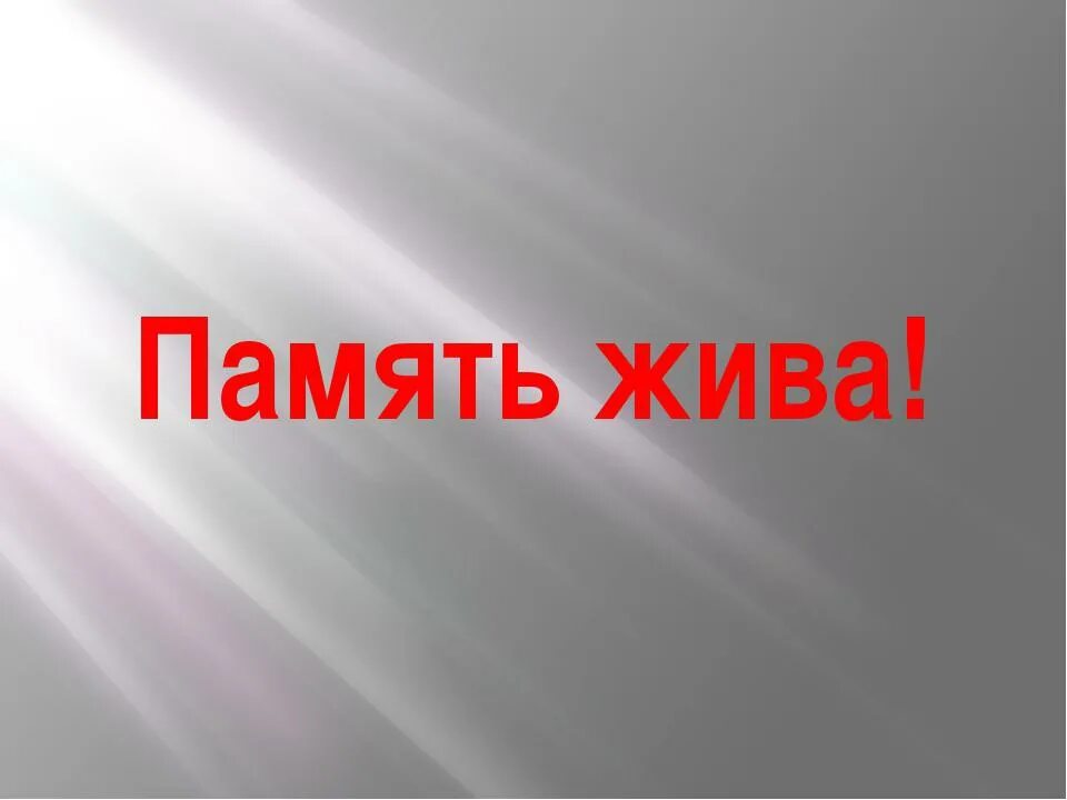 Почему память жива. Живая память. Надпись память жива. Память жива картинки. Заголовки Живая память.