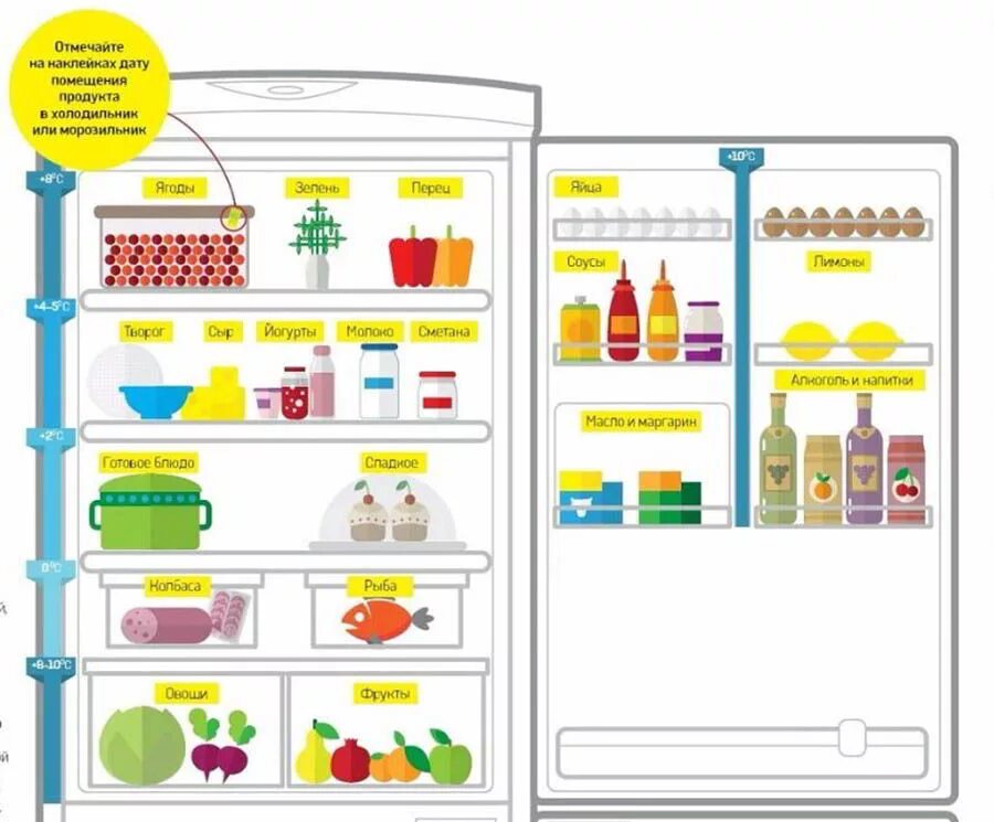 Размещение продуктов в холодильнике. Правильное распределение продуктов в холодильнике. Размещение продуктов в холодильнике на полках. Расположение продуктов на полках холодильника. Товарное соседство в холодильнике