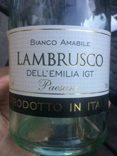 Lambrusco dell emilia цена. Вино Lambrusco dell Emilia Amabile. Ламбруско Paesano. Ламбруско dell Emilia Amabile. Ламбруско IGT Emilia Bianco.