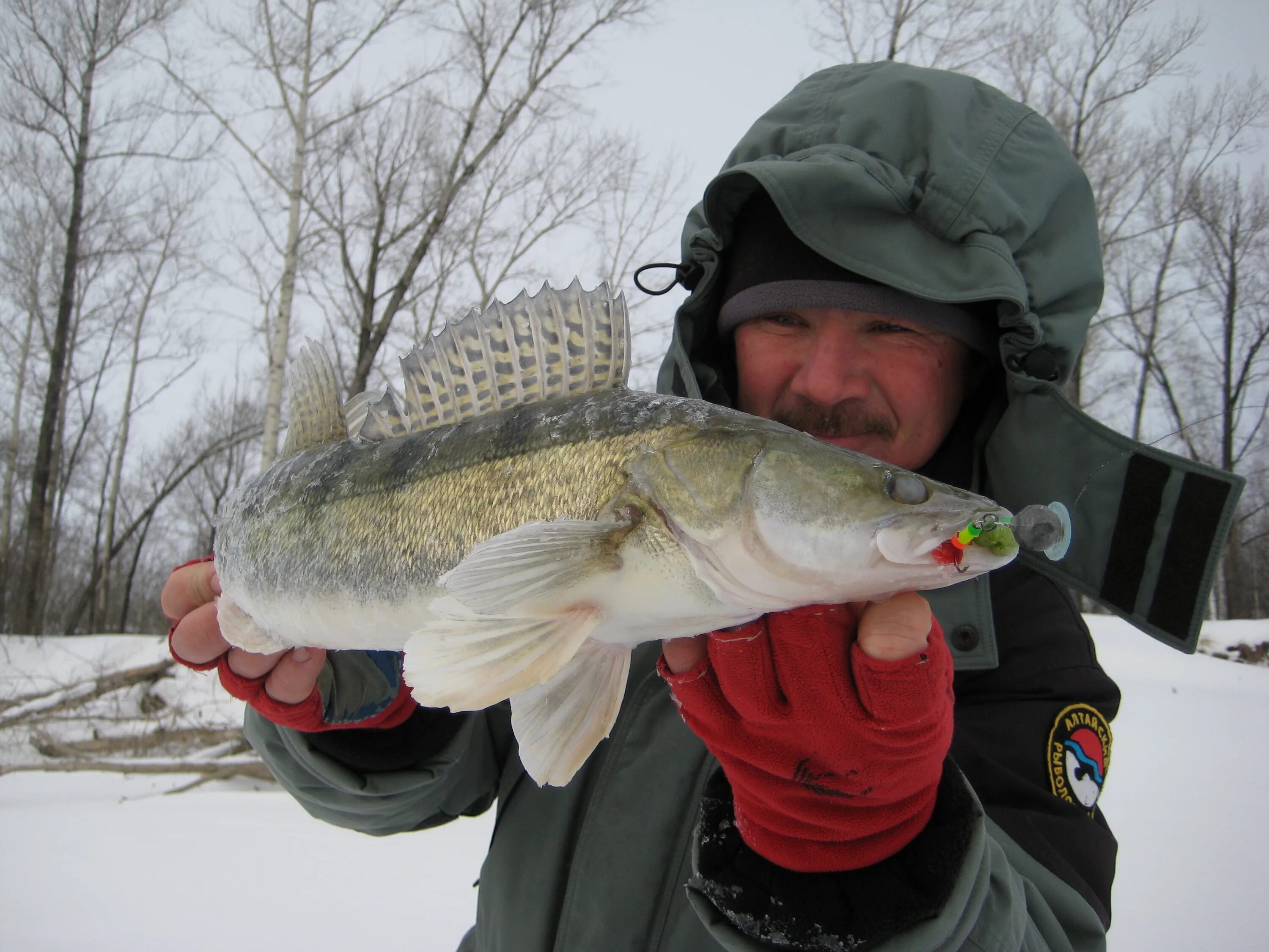 Джиг на судака зимой. Зимний спиннинг на щуку. Зимний джиг. Зимний джиг со льда. Зимний джиг зимняя рыбалка на джиг спиннинг.