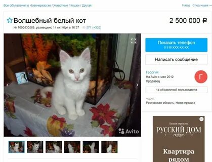 Продам котика дорого читать