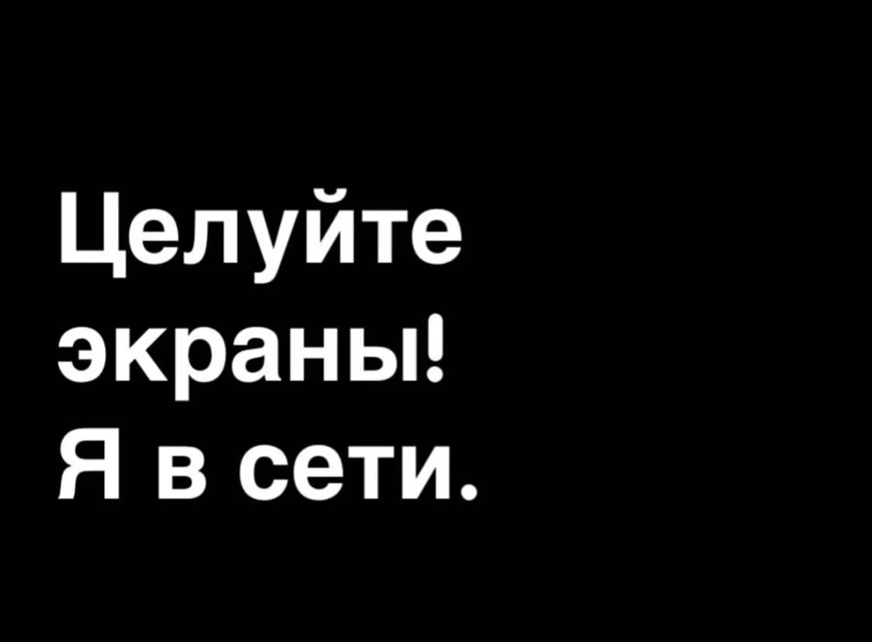 Целую монитор. Целуйте мониторы я в сети. целуй монитор я в сети. целуй экран я в сети. целуйте мониторы я в сети картинки.