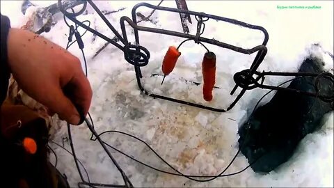 Как сделать приманку на бобра