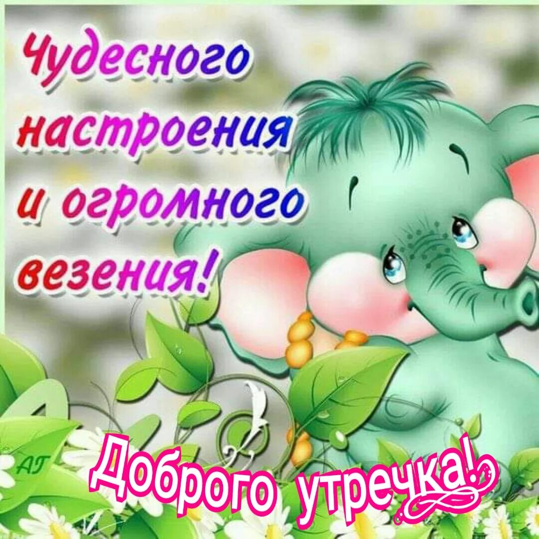 пожелания настроения. открытка удачи и везения на всю неделю. яркие цветы. открытки отличного настроения. хорошего дня и прекрасного настроения.