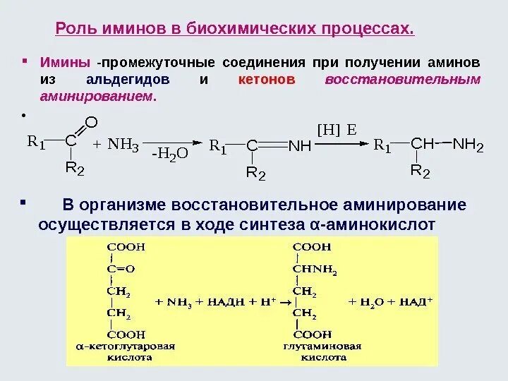 Окисление пропанали. Имины окисление. Восстановительное аминирование аминокислот биохимия. Синтез Иминов. Восстановительное аминирование альдегидов и кетонов.