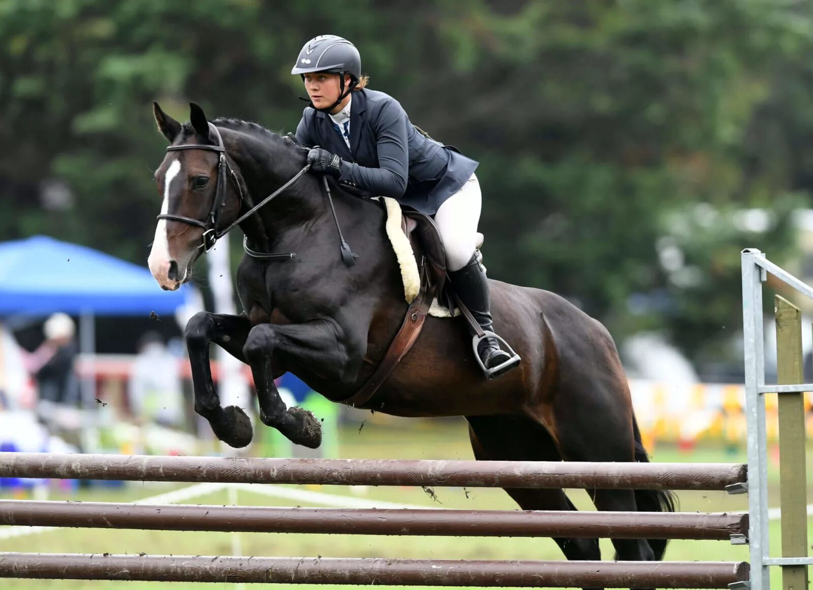 Horse sport. Лошади. Конкур. Конный спорт.. Хантер конкур. Конкур конный спорт. Эстетика конного спорта конкур.