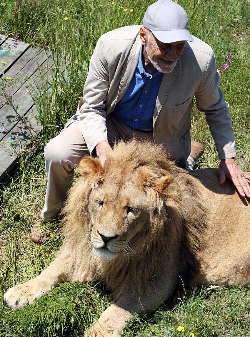 стивен роберт «стив» ирвин. николай дроздов молодой в мире животных. николай дроздов в мире животных. тигр и человек дружба. объятия с тигром.