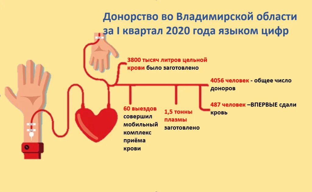 Пункты доноров крови. Донорство цельной крови. Источники крови для гемотрансфузий. Переливание цельной крови. Донорство, организация работы станции переливания крови..