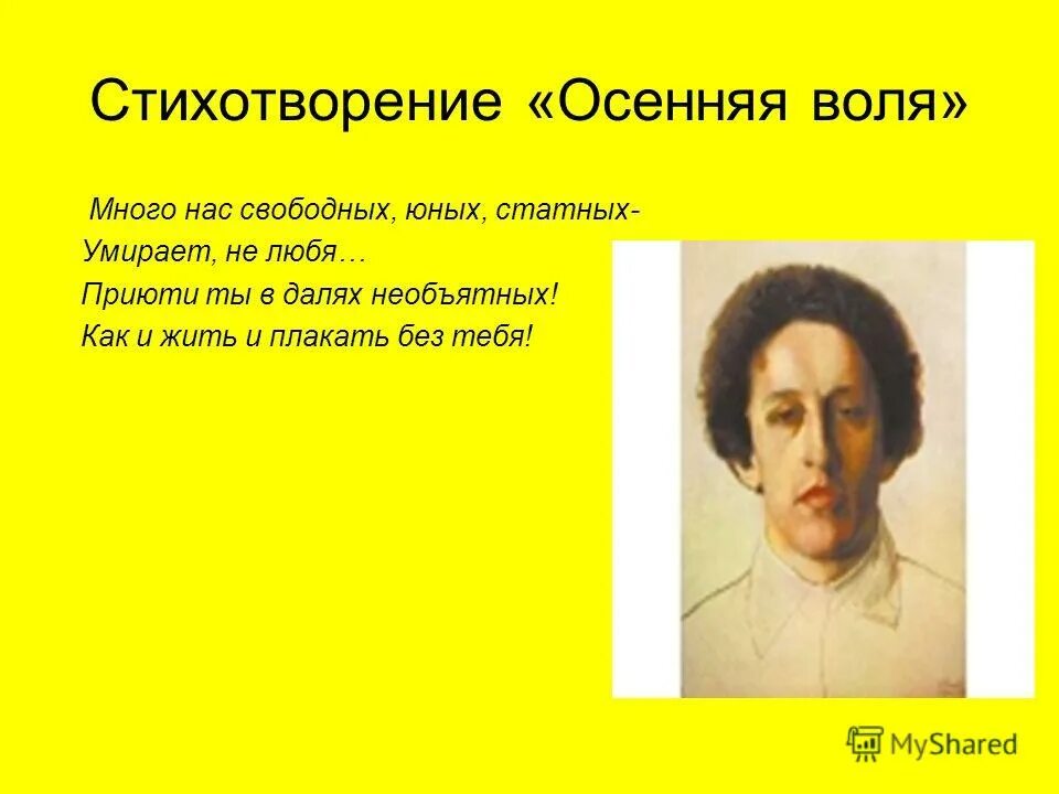 Стих осенняя воля. Стих осенняя воля
