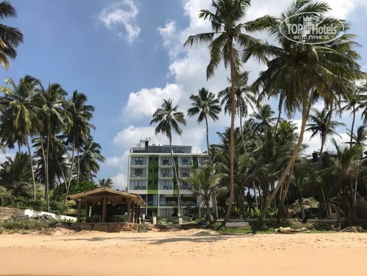 Васкадува шри ланка. Ambalangoda beach шри-ланка. амбалангода отель шри ланка. gloria grand 3 шри ланка шри ланка. hotel j ambalangoda июль.
