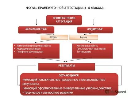 Промежуточная аттестация и ее формы