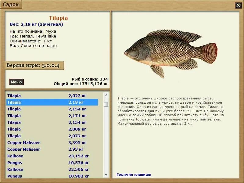 Тилапия рыба. Тилапия вес рыбы. Рыба тилапия максимальный размер. Самая крупная рыба тилапия. Максимальный вес рыб