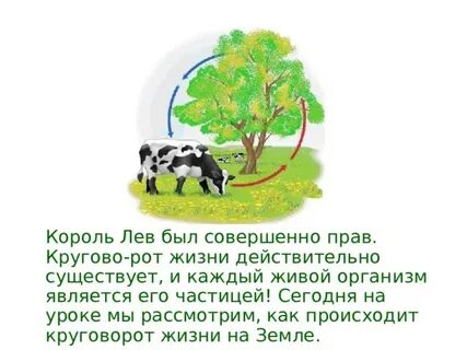 Презентация круговорот жизни 3 класс окружающий мир
