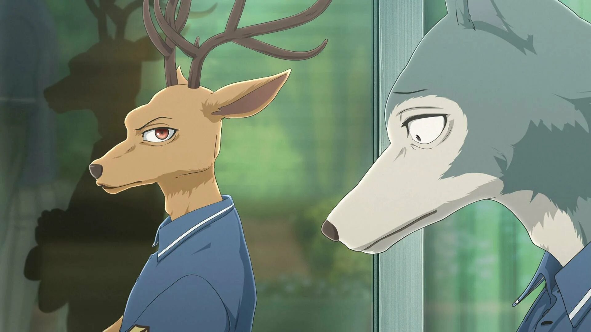 аниме сериалы про животных. аниме beastars луис. выдающиеся звери. выдающиеся звери 3. джуно выдающиеся звери.