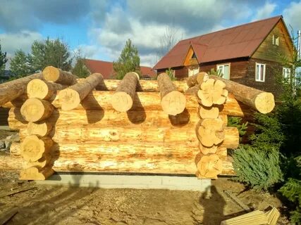 Бревна 4 буквы