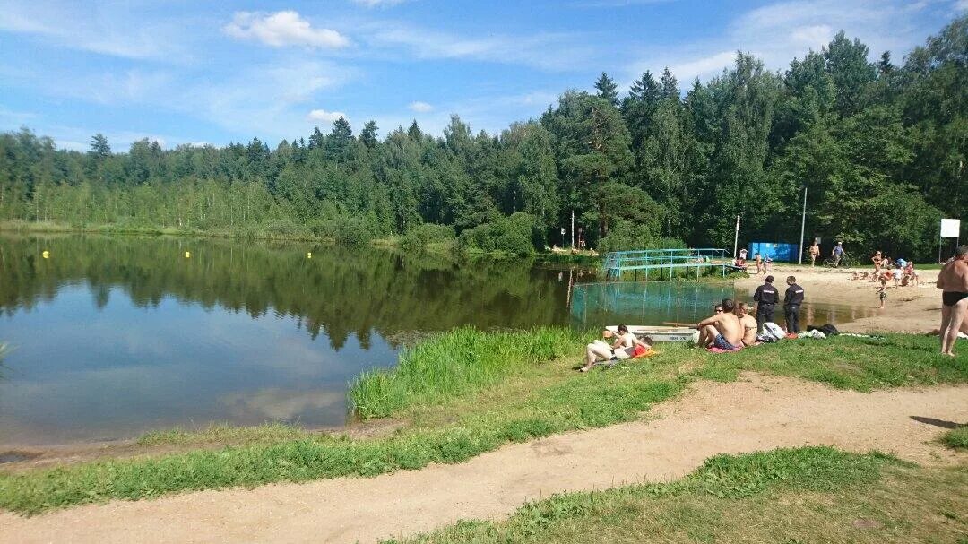 Черное озеро Зеленоград. Озеро черное Зеленоград пляж. Черное озеро Щелково. Черное озеро (ЗЕЛАО).