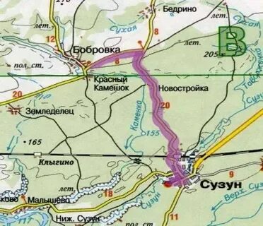 Сузун от новосибирска сколько