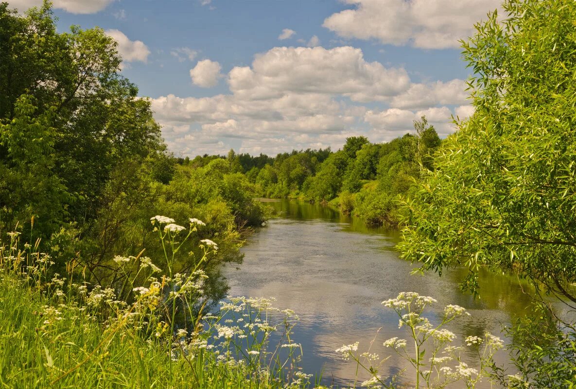 Река болва уровень воды