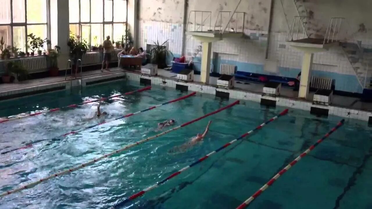 Бассейн кристалл. Бассейн кристалл. Зелёный остров бердск бассейн. Бассейн кристалл электросталь. Бассейн кристалл электросталь.