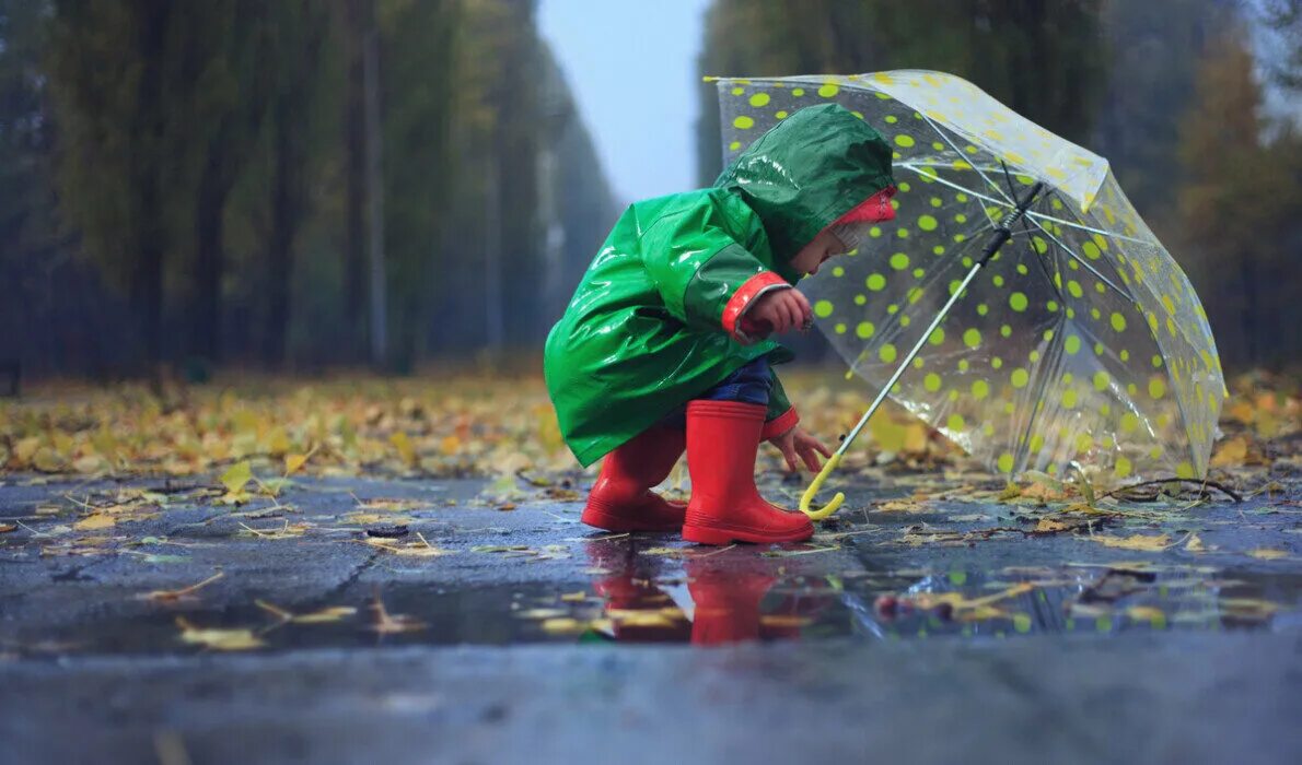 Осень дождь. Фотосессия под дождем осенью. Зонт под дождем. Зонт в луже.