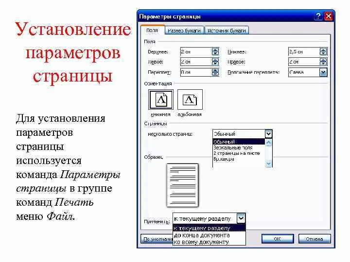 Элементы страницы документа. Параметры страницы. Параметры страницы это в информатике. Перечислите параметры страниц. Как установить параметры страницы.