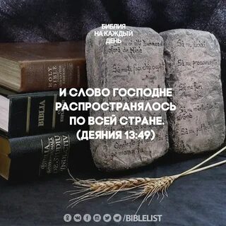 40 дней в библии