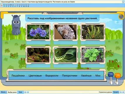 Видеоурок окр мир