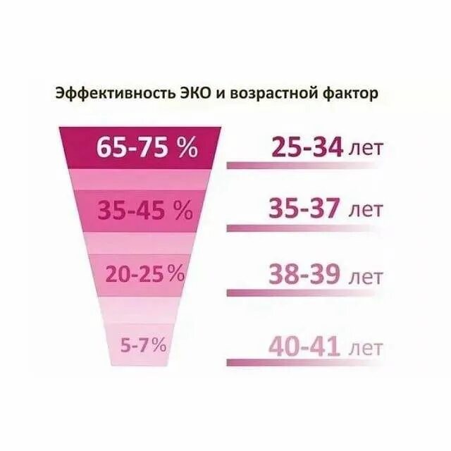 43 можно забеременеть. Эффективность эко. Процент зачатия после 40 лет. Вероятность эко после 40 лет. Процент беременности после 40 лет.