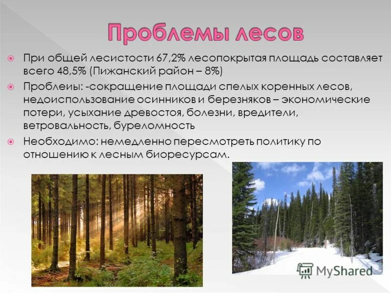 характеристика европейского севера лесистость