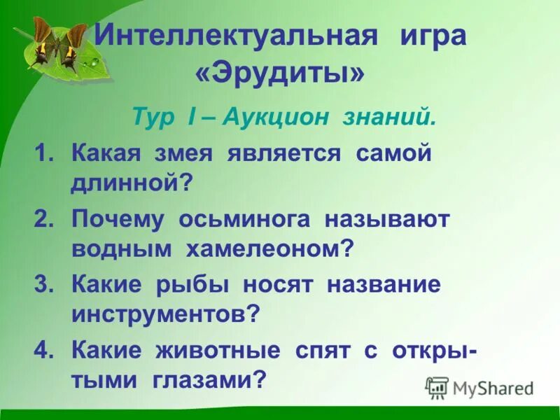 сообщение про анаконду. какая змея бывает наречием. стихи про змей для детей. какая бывает змея прилагательное. загадка про змею для детей.
