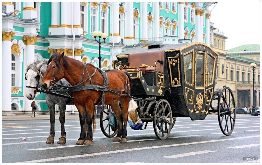 Кортеж на лошадях. Лошадь запряженная в карету. Экипаж карета. Экипаж красивый с лошадьми. Карета лондон 19 век эстетика.