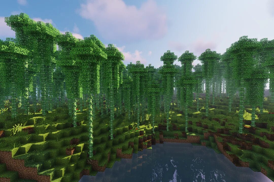 Sols rng biomes. Мод Biomes o plenty 1.12.2. Мод Dynamic Trees 1.12.2. Майнкрафт Biomes o' plenty. Biomes o plenty 1.16.5.