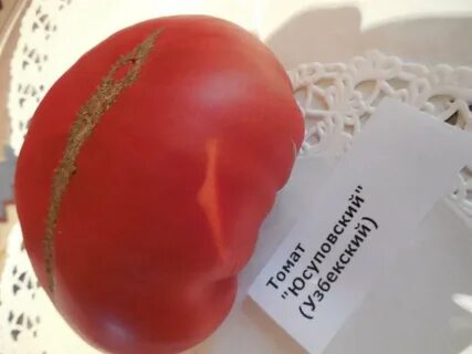 Семена помидоров юсуповские
