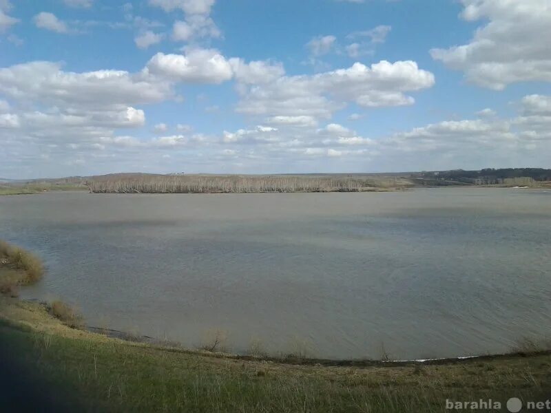 Ульяновский пруд алтайский край. Полбинский пруд ульяновская область. Ульяновский пруд алтайский край. Ульяновский пруд алтайский край. Ульяновский пруд ленинск-кузнецкий рыбалка.