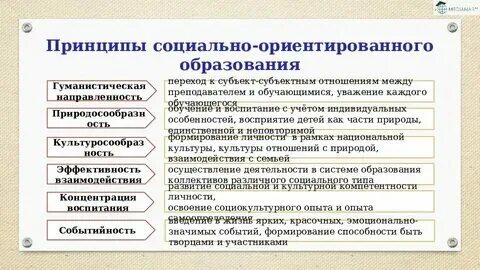 Общее социальное образование это