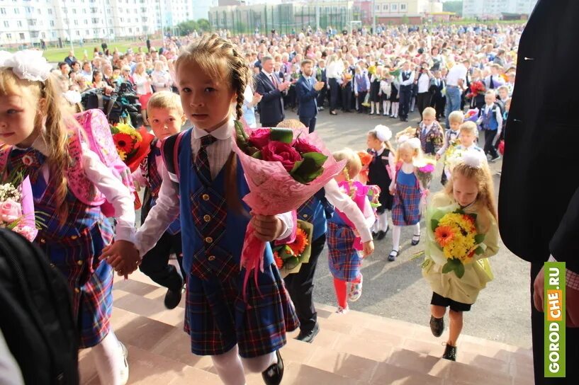 Центр образования милютина череповец. Центр образования милютина череповец