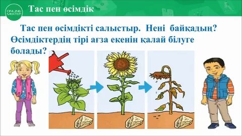 Жаратылыстану 5 сынып 2 сабақ