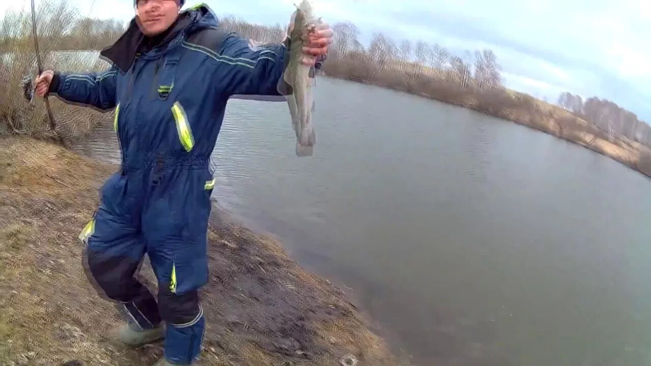 Река прямая кемерово. Рыбалка в кемерово на карпа. Платник. Озеро мирное кемерово. Платник ягуново.
