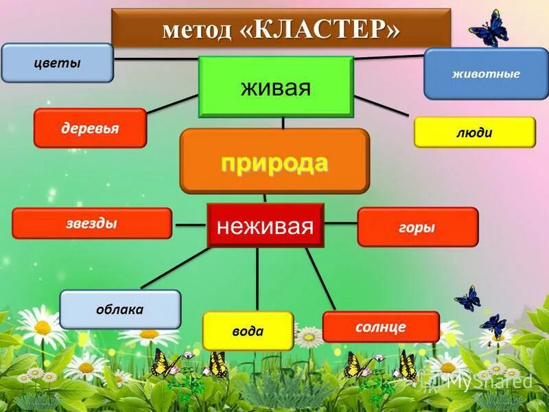 живая и неживая природа. живая не жмвая природа. термины живая природа. тела неживой природы. кластер живая природа.